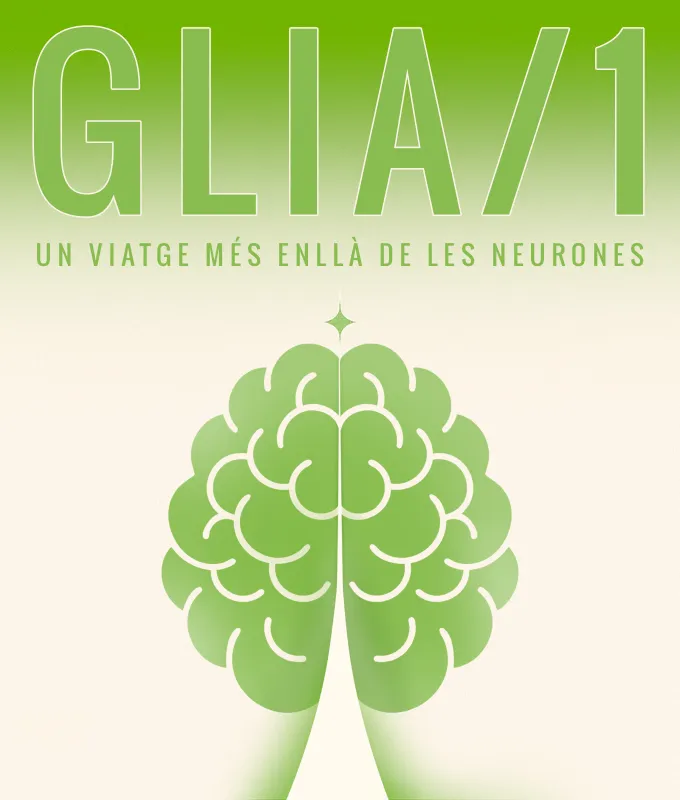 Glia 1, un viatge més enllà de les neurones